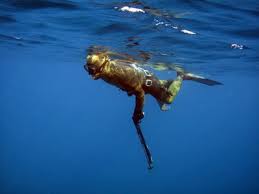 How to Learn Spearfishing - Drowning Worms via Relatably.com