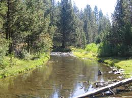Image result for sprague river oregon