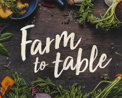 Farmtotable dining