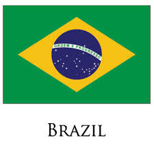 Resultado de imagem para LOGO  BRAZIL