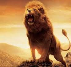 Resultado de imagem para leão
