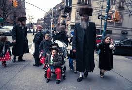 Image result for hasidic jews