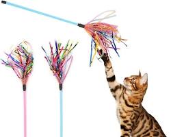 Cat playing with a feather wand toyの画像