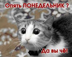 images?q=tbn:ANd9GcR5oiH8kFoOXLdXCF2HL8iqBZLtw1oJIKff_mCNEaw7vjtjVhyZ