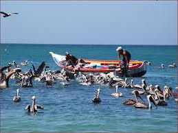 Resultado de imagen para imagenes de la isla de margarita de venezuela