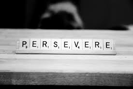 Image result for perseverance