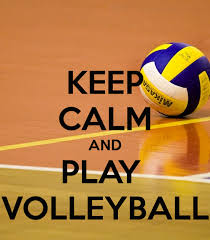 Image result for volleyball images