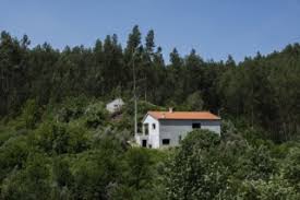 Portugal: Ocho Años Después del Incendio de Pedrógão Grande, Reconstrucción Lenta y Nuevos Proyectos