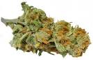 Lemon Haze - Royal Queen Seeds