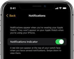 Apple Watch notifications settings