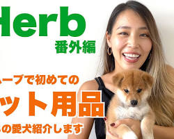 iHerbペット用品の画像