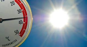 Fachtag zum Gesundheitsschutz in Zeiten von Klimawandel und Extremhitze