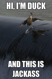 Image result for hi meme