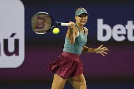 Trend Google: potapova