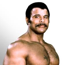 While part of one of the most famous and influential families in sports-entertainment history, &quot;Soul Man&quot; Rocky Johnson is just as famous and influential on ... - rockyjohnson_bio