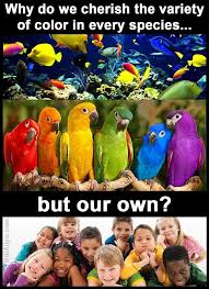 Why do we cherish the variety of color in every species but our ... via Relatably.com