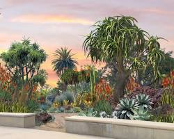 Image of Huntington Botanical Gardens Desert Garden