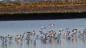 News source: Ouest-France