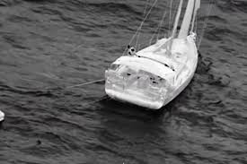 Sailors survive real-life Moby Dick as whale sends yacht to the deep