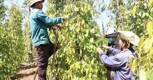Laodong.vn - News update