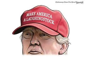 Image result for trump cartoon