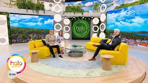 halo tu polsat - News update