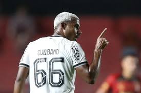 Meu Botafogo - - News update