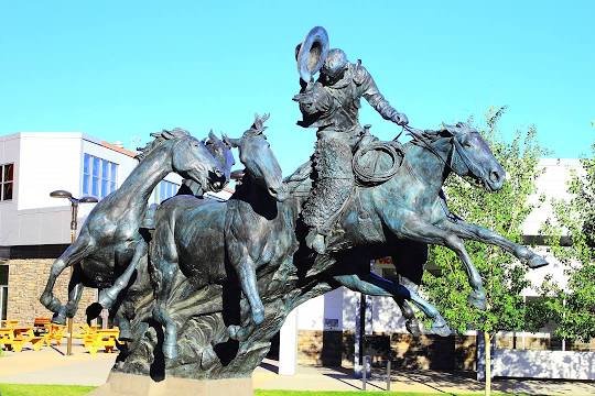 Junk Removal Crossfield, AB