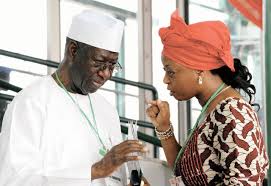 Image result for tony anenih