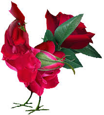 Rsultat de recherche d'images pour "jolie fleur"