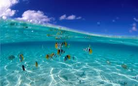 Image result for pictures gallery for amazing places of the world
