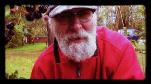 Image result for mustamarja-aronia