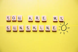 Image result for sunshine quotes