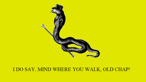 Image result for gadsden flag