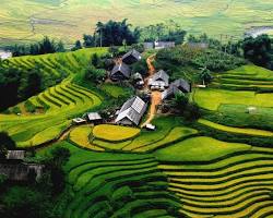 Hình ảnh về Lao Chải village in Sapa