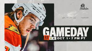 Ducks Face Sharks in Preseason Rematch: Key Takeaways