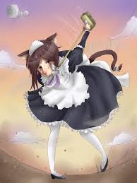 Bildergebnis für macademi wasshoi