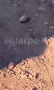 La Nación - News update