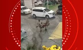 PM e três suspeitos morrem após troca de tiros em Salvador