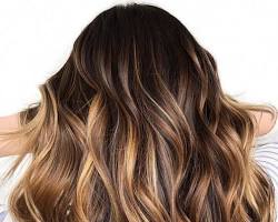 Image de Brown hair with honey blonde highlights