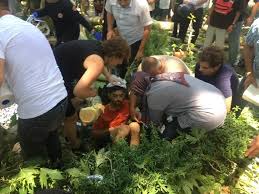 Gölcük Haber - News update