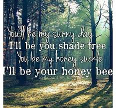 Blake Shelton- Honey Bee. Country songs. Country quotes | Pretend ... via Relatably.com