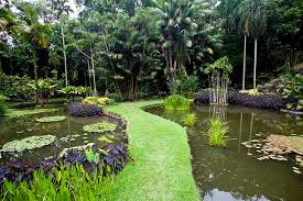 Resultado de imagem para jardins de burle marx no rio de janeiro