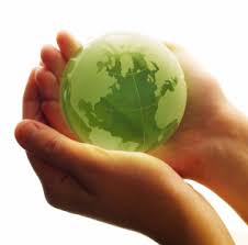 Public Training for ISO14001 Environment