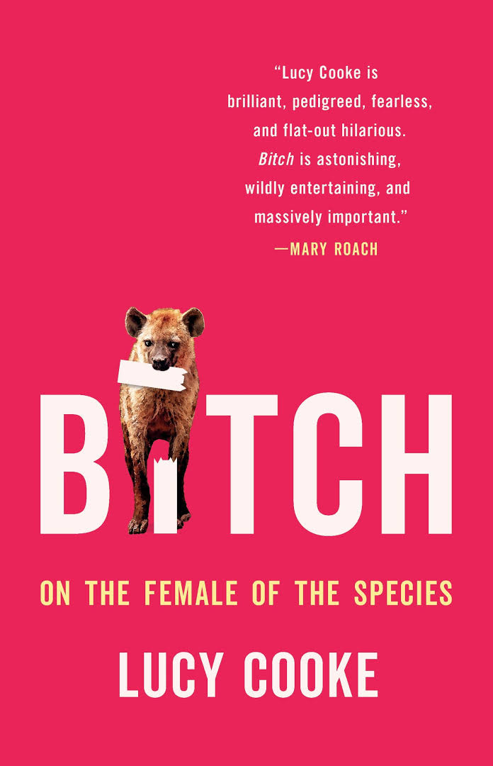 Book cover of "Bitch : on the female of the species"