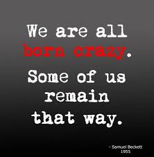 witty sayings about life | Crazy Quote About Life And Happiness ... via Relatably.com