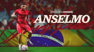 Adelaide United - News update