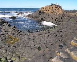 Image of Giant's Causeway, Ireland