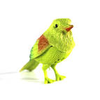 pictures of 2 parrots talking and singing dog