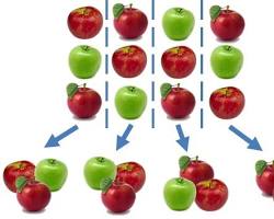 12 apples divided into 3 equal groups, with 4 apples in each group